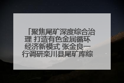 聚焦尾矿深度综合治理 打造有色金属循环经济新模式 张金良一行调研栾川县尾矿库综合治理工作