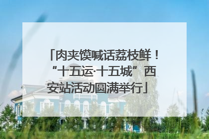 肉夹馍喊话荔枝鲜！“十五运·十五城”西安站活动圆满举行