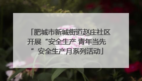 肥城市新城街道赵庄社区开展“安全生产 青年当先”安全生产月系列活动
