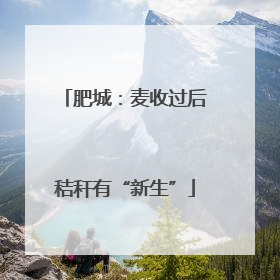 肥城：麦收过后秸秆有“新生”
