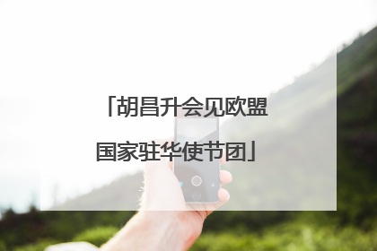 胡昌升会见欧盟国家驻华使节团