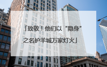 致敬！他们以“隐身”之名护羊城万家灯火