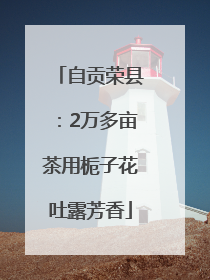 自贡荣县：2万多亩茶用栀子花吐露芳香