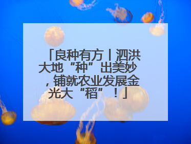 良种有方丨泗洪大地“种”出美妙，铺就农业发展金光大“稻”！