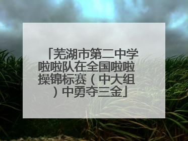 芜湖市第二中学啦啦队在全国啦啦操锦标赛（中大组）中勇夺三金