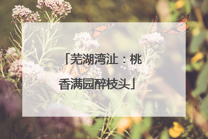 芜湖湾沚：桃香满园醉枝头