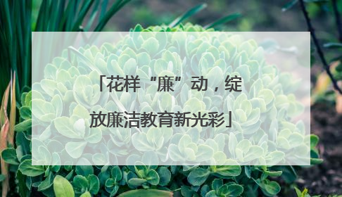花样“廉”动，绽放廉洁教育新光彩