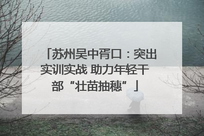 苏州吴中胥口：突出实训实战 助力年轻干部“壮苗抽穗”