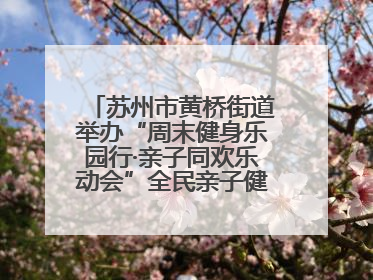 苏州市黄桥街道举办“周末健身乐园行·亲子同欢乐动会”全民亲子健身活动！