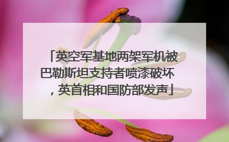 英空军基地两架军机被巴勒斯坦支持者喷漆破坏，英首相和国防部发声