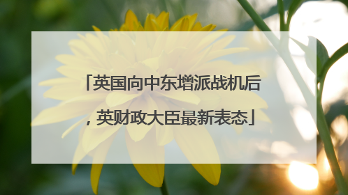 英国向中东增派战机后，英财政大臣最新表态