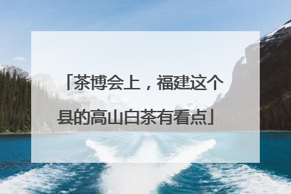 茶博会上，福建这个县的高山白茶有看点