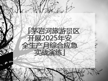 茅岩河旅游景区开展2025年安全生产月综合应急实战演练