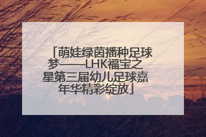 萌娃绿茵播种足球梦——LHK福宝之星第三届幼儿足球嘉年华精彩绽放