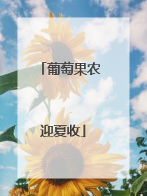葡萄果农迎夏收