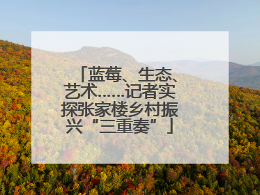 蓝莓、生态、艺术……记者实探张家楼乡村振兴“三重奏”