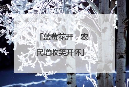 蓝莓花开，农民增收笑开怀