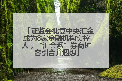 证监会批复中央汇金成为8家金融机构实控人，“汇金系”券商扩容引合并遐想