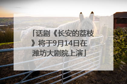 话剧《长安的荔枝》将于9月14日在潍坊大剧院上演