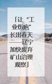 让“工业伤疤”长出春天——辽宁加快废弃矿山治理观察