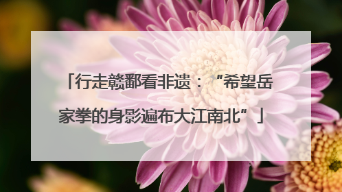 行走赣鄱看非遗：“希望岳家拳的身影遍布大江南北”