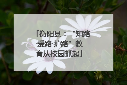衡阳县：“知路·爱路·护路”教育从校园抓起