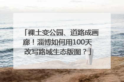 裸土变公园、道路成画廊！淄博如何用100天改写路域生态版图？