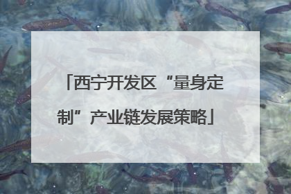 西宁开发区“量身定制”产业链发展策略