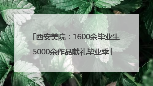西安美院：1600余毕业生5000余作品献礼毕业季