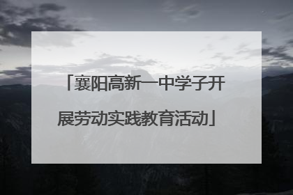 襄阳高新一中学子开展劳动实践教育活动