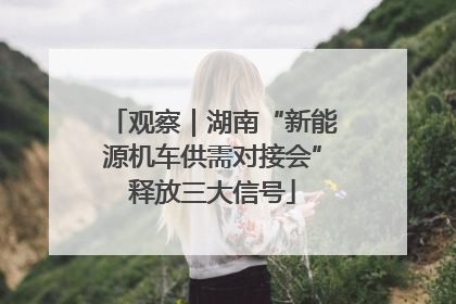 观察｜湖南“新能源机车供需对接会”释放三大信号