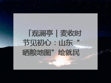 观澜亭｜麦收时节见初心：山东“晒粮地图”绘就民生温暖画卷