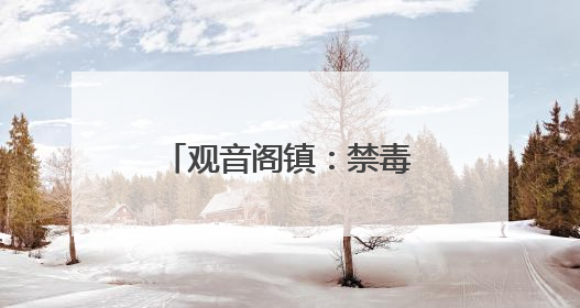 观音阁镇：禁毒宣传面对面 安全防范驻心间