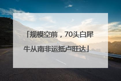 规模空前，70头白犀牛从南非运抵卢旺达