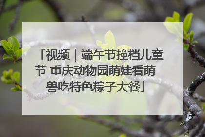 视频｜端午节撞档儿童节 重庆动物园萌娃看萌兽吃特色粽子大餐