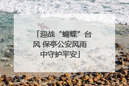 迎战“蝴蝶”台风 保亭公安风雨中守护平安