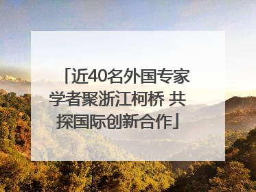 近40名外国专家学者聚浙江柯桥 共探国际创新合作