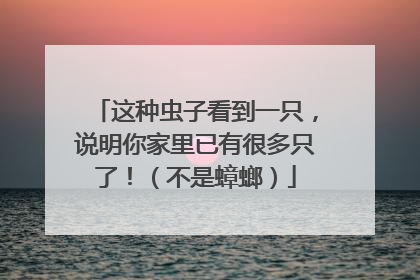 这种虫子看到一只，说明你家里已有很多只了！（不是蟑螂）