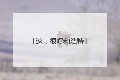这，很呼和浩特