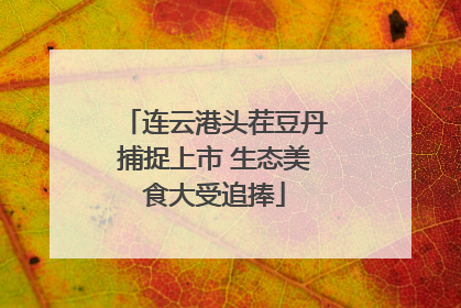 连云港头茬豆丹捕捉上市 生态美食大受追捧