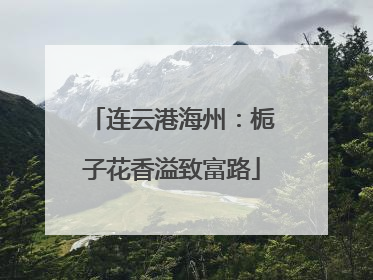 连云港海州：栀子花香溢致富路