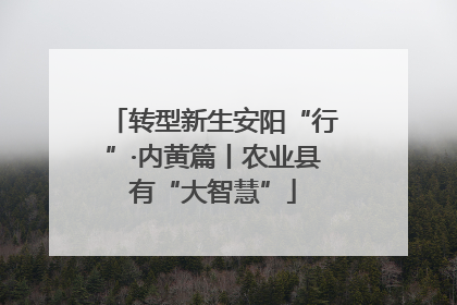 转型新生安阳“行”·内黄篇丨农业县有“大智慧”