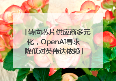 转向芯片供应商多元化，OpenAI寻求降低对英伟达依赖