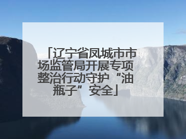 辽宁省凤城市市场监管局开展专项整治行动守护“油瓶子”安全