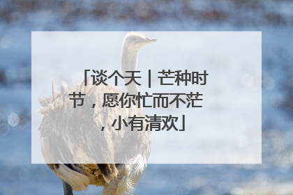 谈个天｜芒种时节，愿你忙而不茫，小有清欢