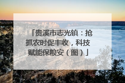 贵溪市志光镇：抢抓农时促丰收，科技赋能保粮安（图）
