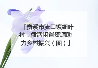 贵溪市流口镇细叶村：盘活闲置资源助力乡村振兴（图）