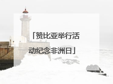 赞比亚举行活动纪念非洲日