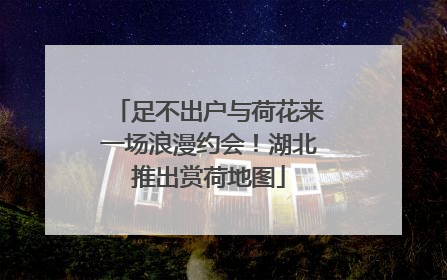 足不出户与荷花来一场浪漫约会！湖北推出赏荷地图