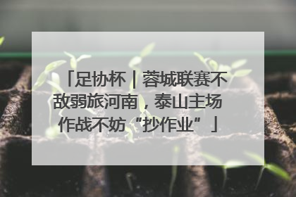 足协杯｜蓉城联赛不敌弱旅河南，泰山主场作战不妨“抄作业”